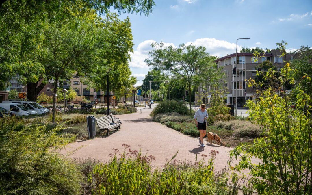 Nieuwe subsidie voor een groenere gemeente