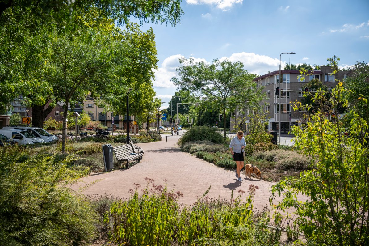 69606_fullimage_klimaatsubsidie_1195x796