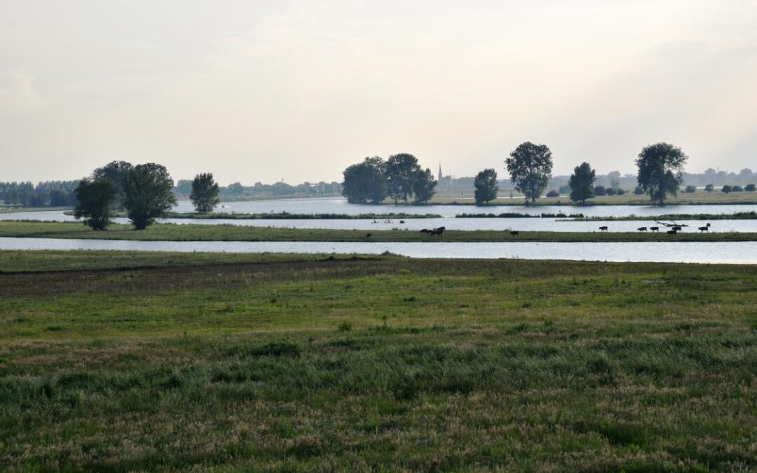 Opzoek: werken in de grote stad