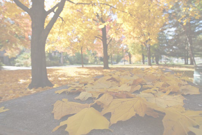 November