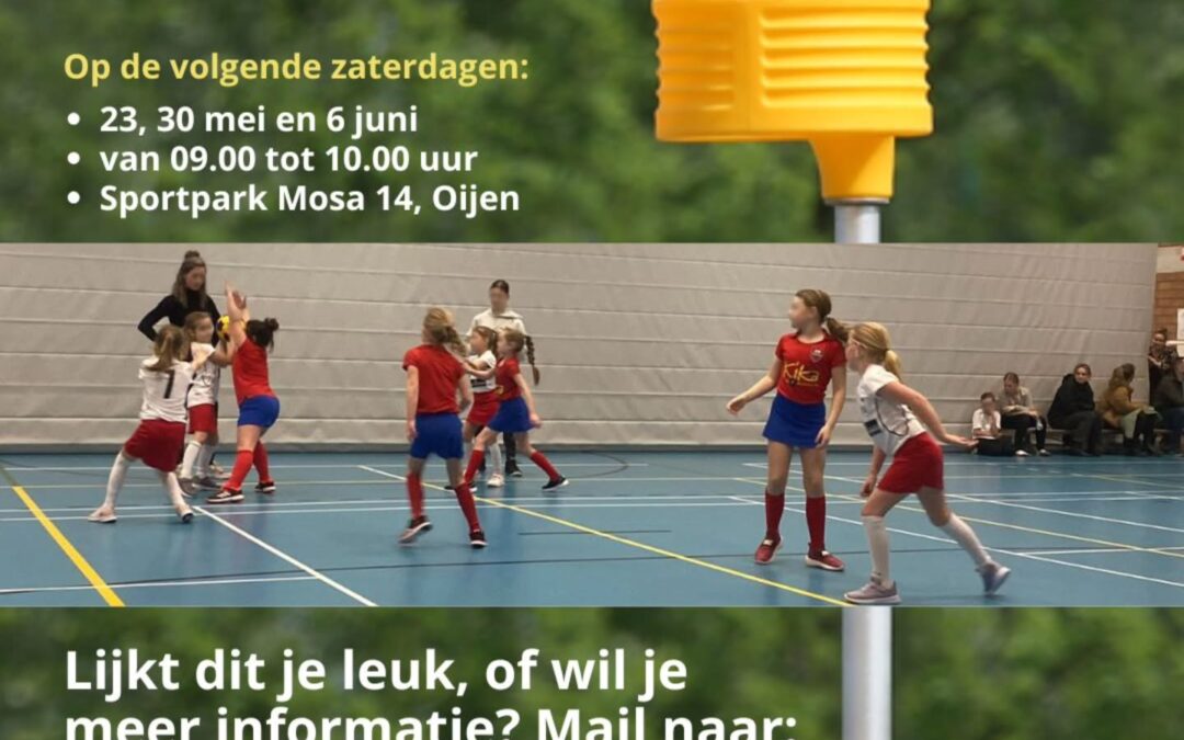 Proeflessen Korfbal