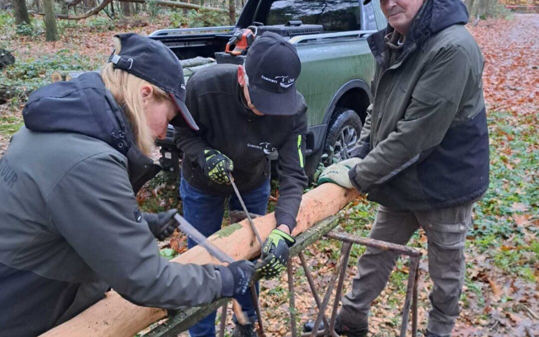 Vrijwilligers gezocht voor bosbeheer