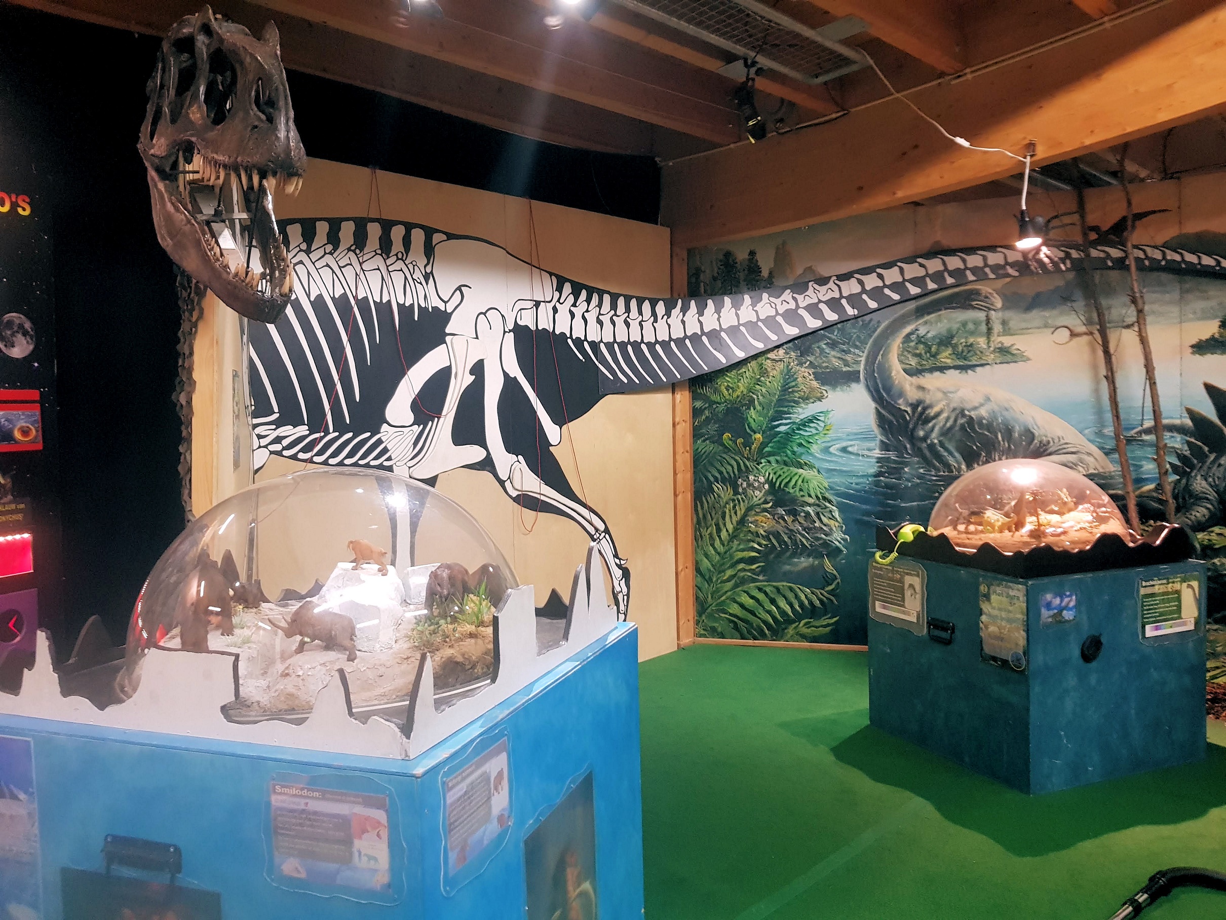 dinotentoonstelling 2